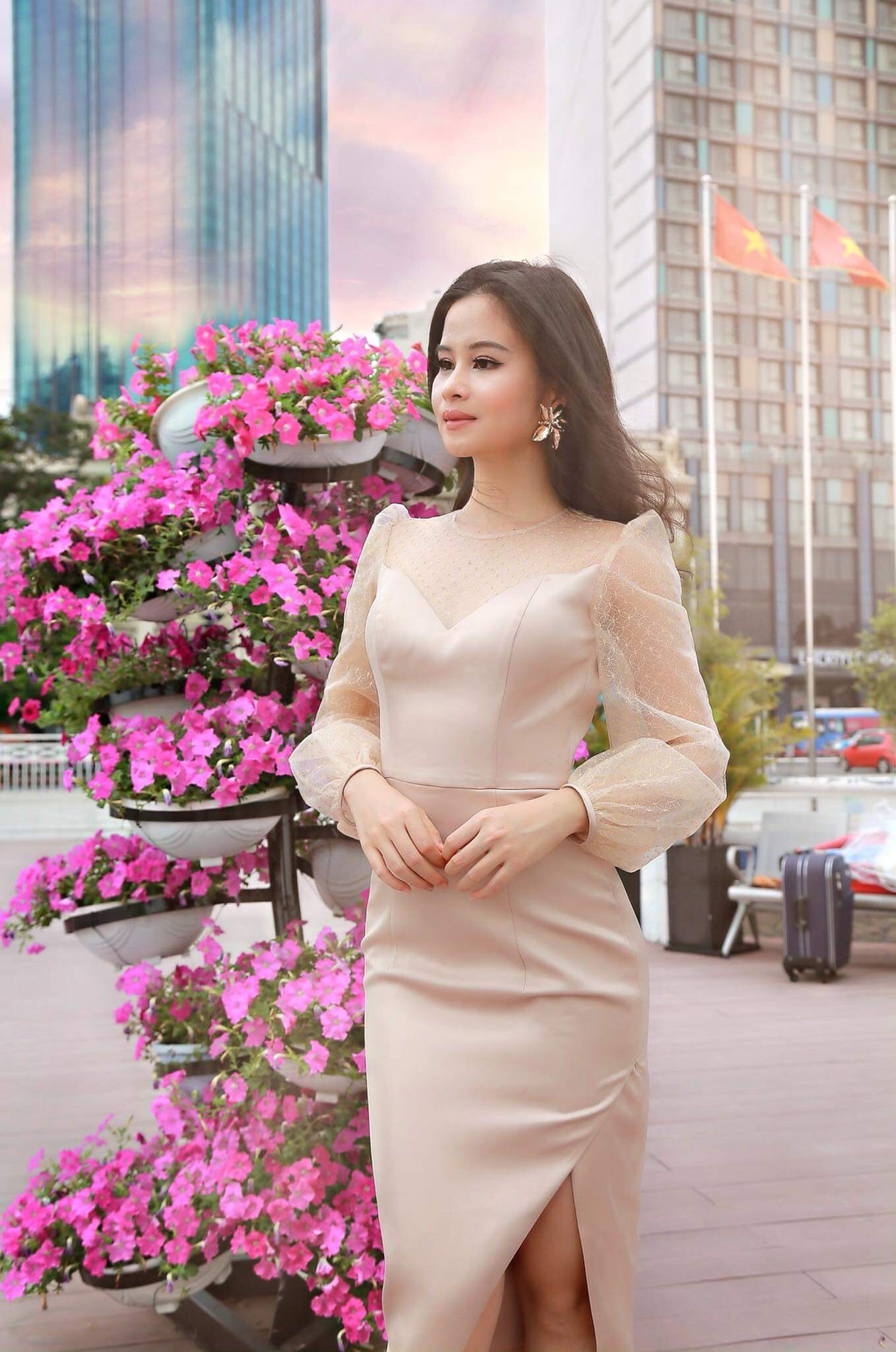 Trinh Vỗ